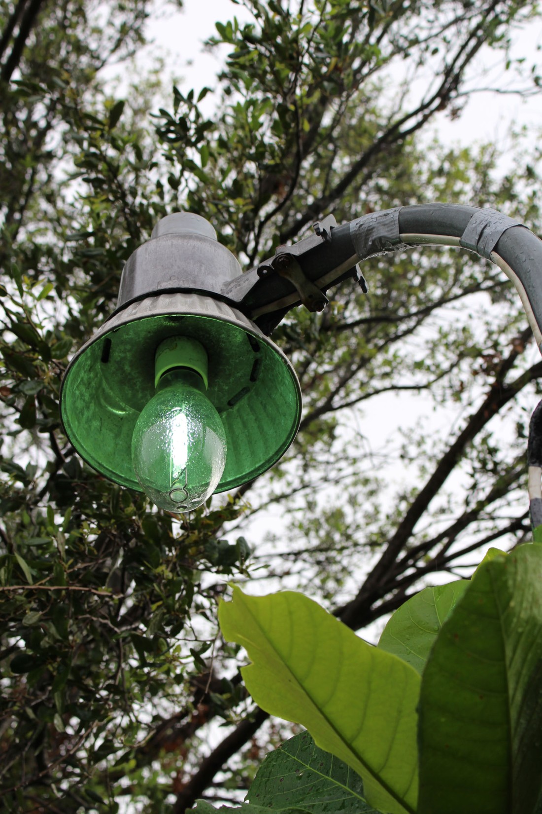 John DeFaro LIghts Back Off project lamp post top with bulb turning on depicting green glow 2017